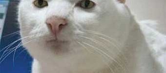 Tableau tutorial #2: Hierarchy, Calculated Fields